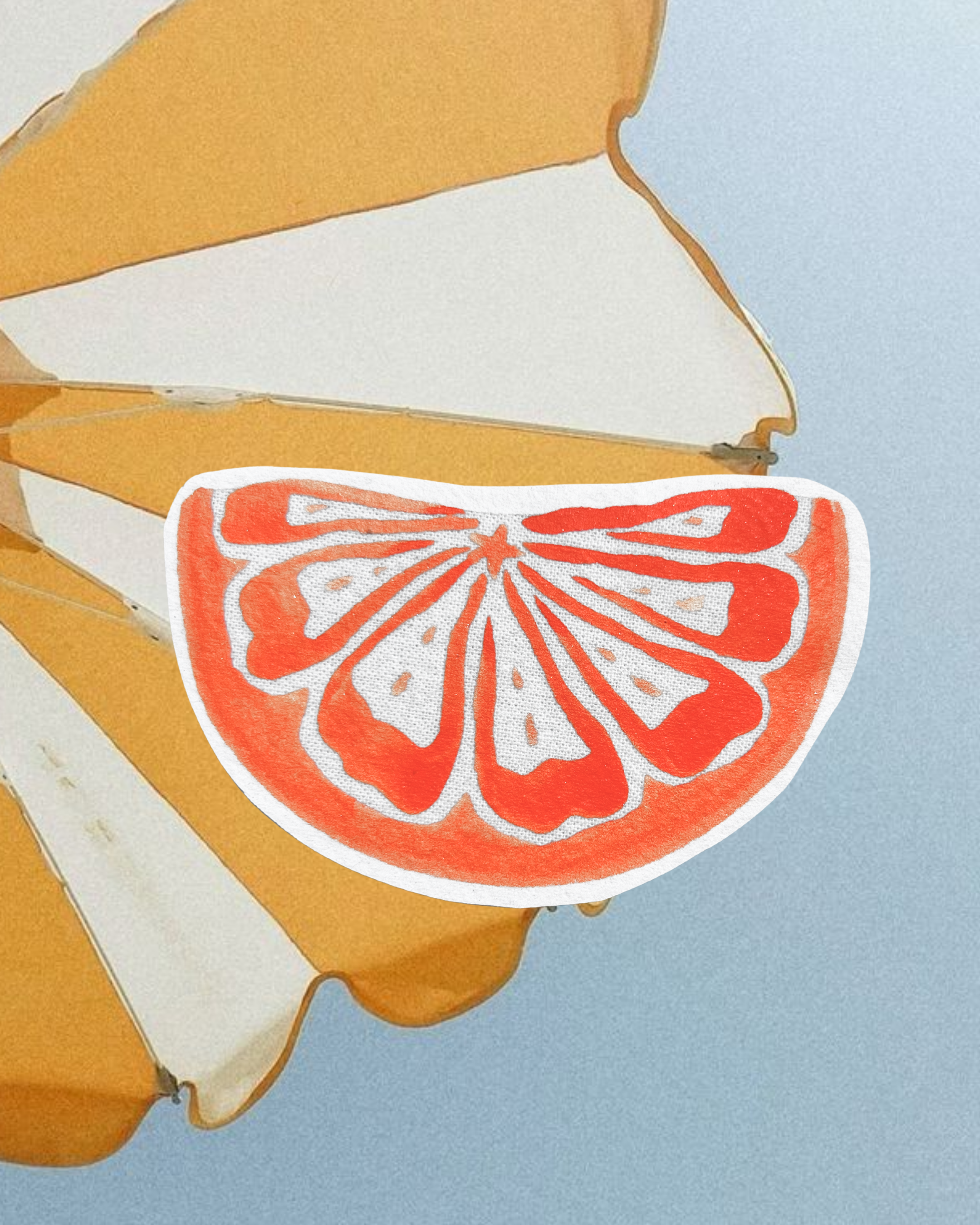 Orange Slice