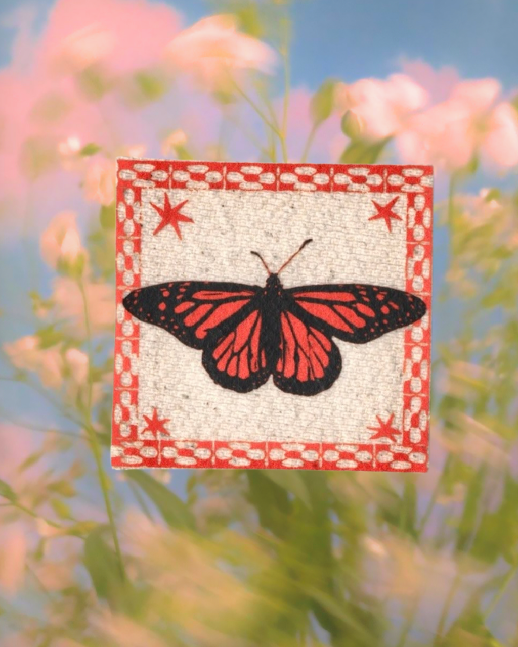 Baby Butterfly