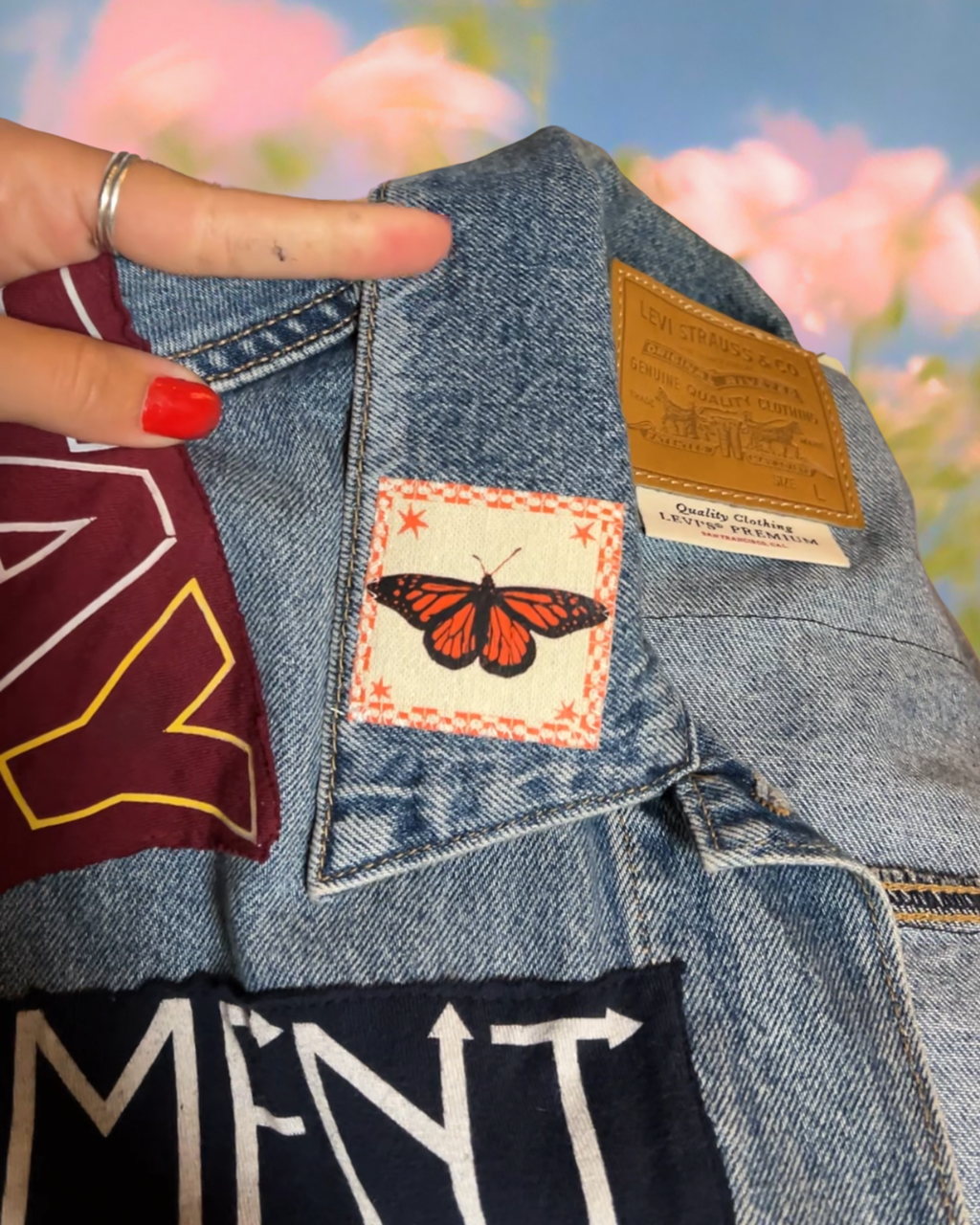 Baby Butterfly