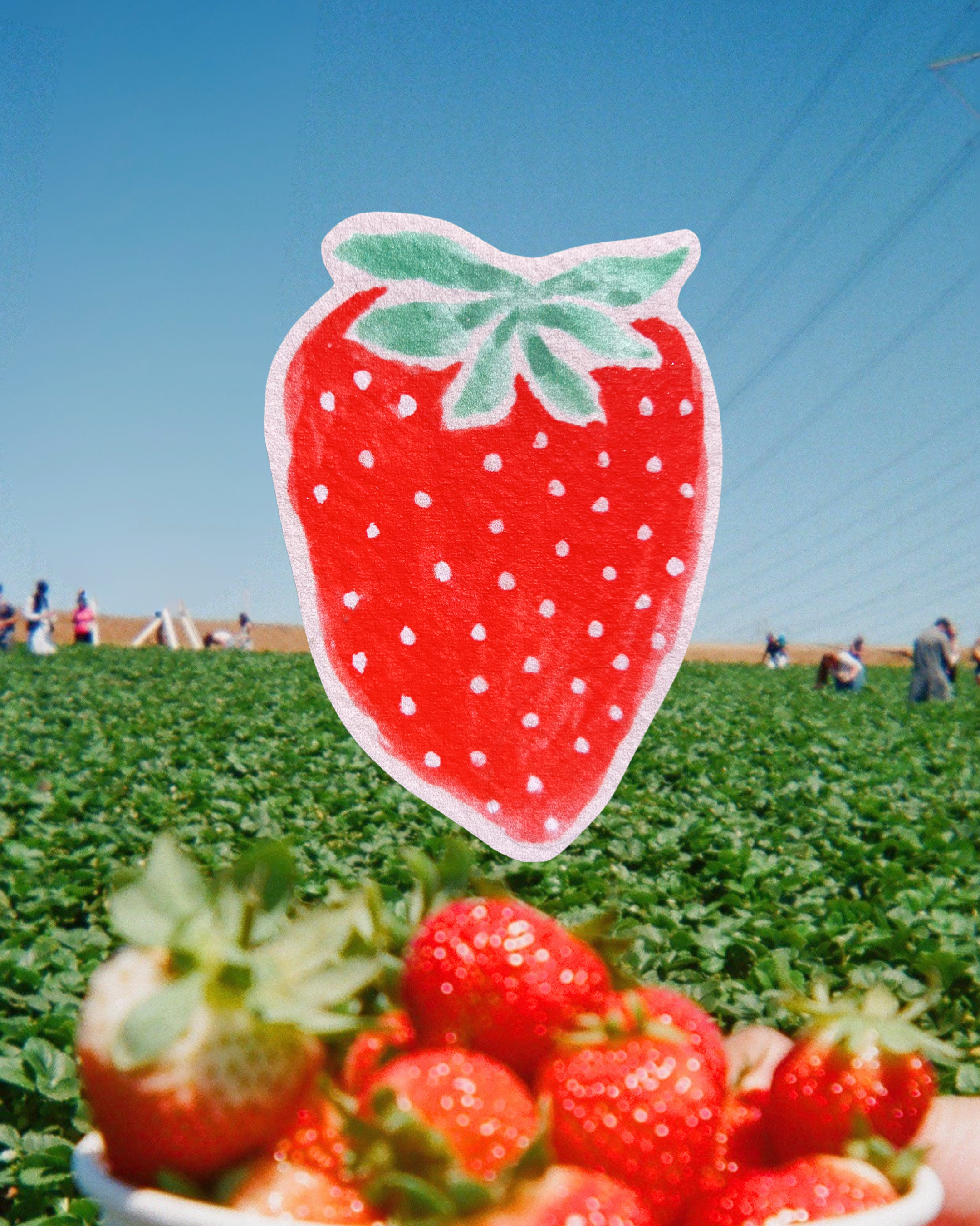 Polka Dot Strawb