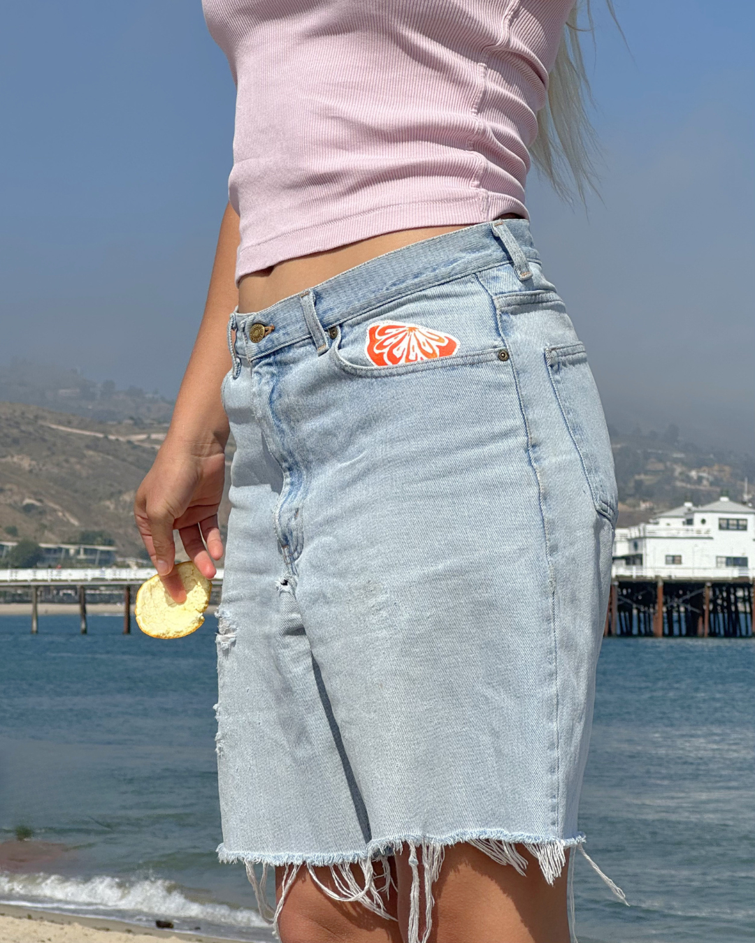 Orange Slice
